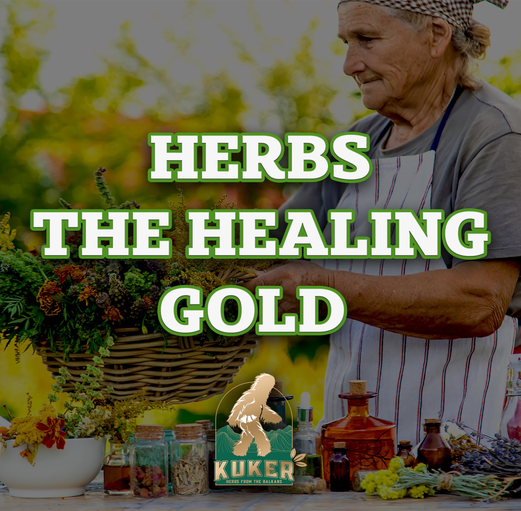 Herbs - The Healing Gold of Bulgaria