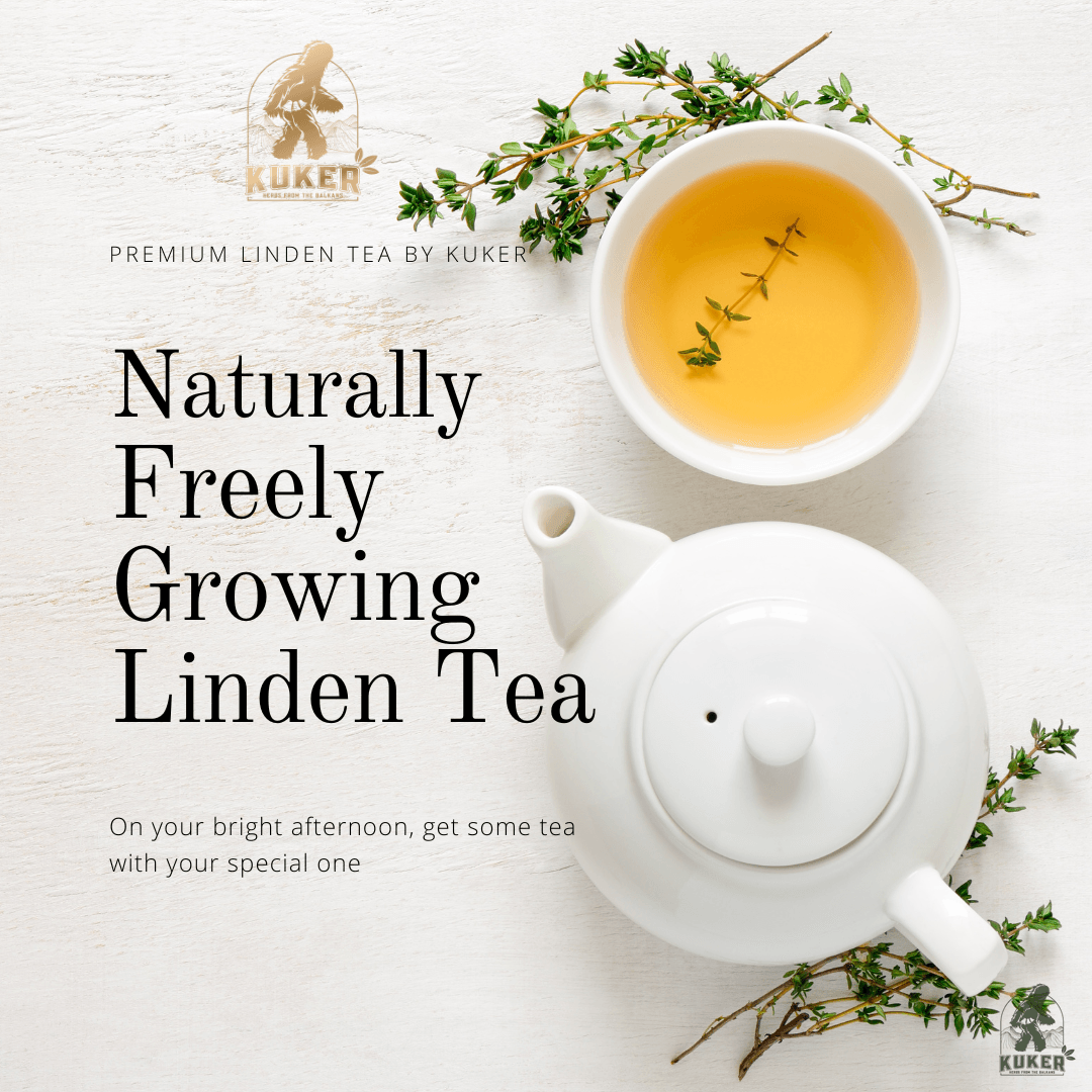 KUKER® Linden Tea 20 Tea Bags | 40g - Kuker Shop