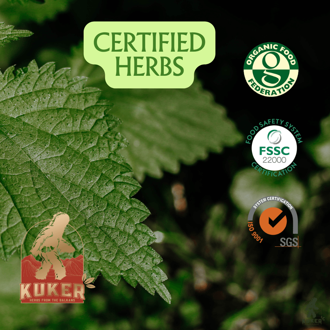 KUKER® Kidney Tea 20 Tea Bags | 30g - Kuker Shop