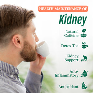 Bearberry Tea 30g | Kidney Herbal Tea 20 Bags