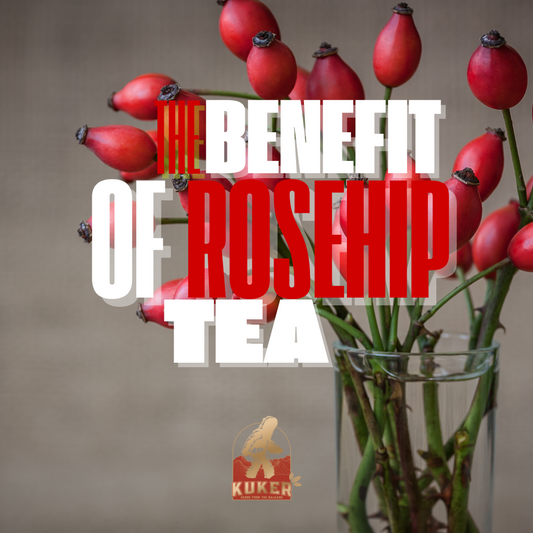 Benefits of Rosehip: Nature’s Hidden Gem