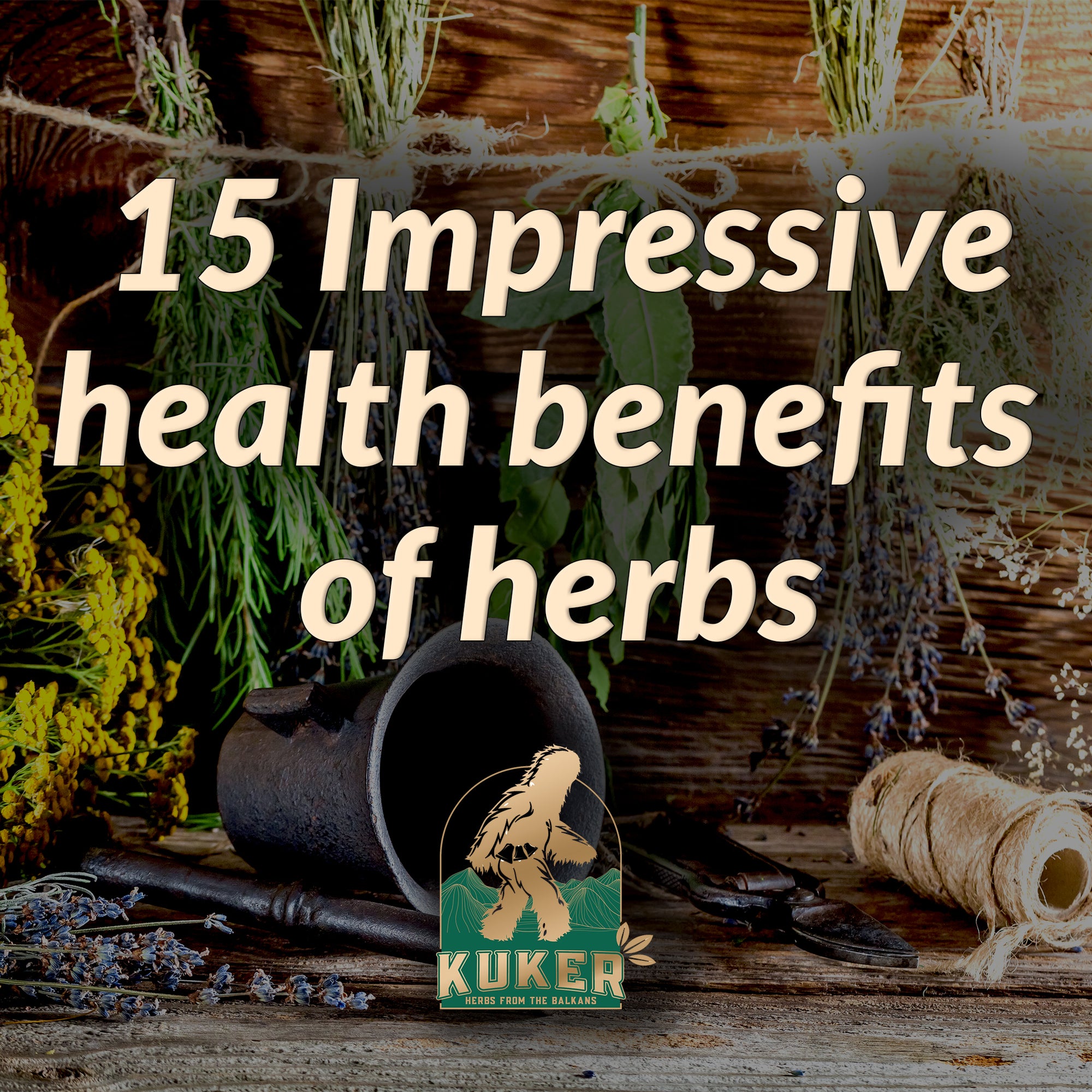 15 Impressive health benefits of Herbs