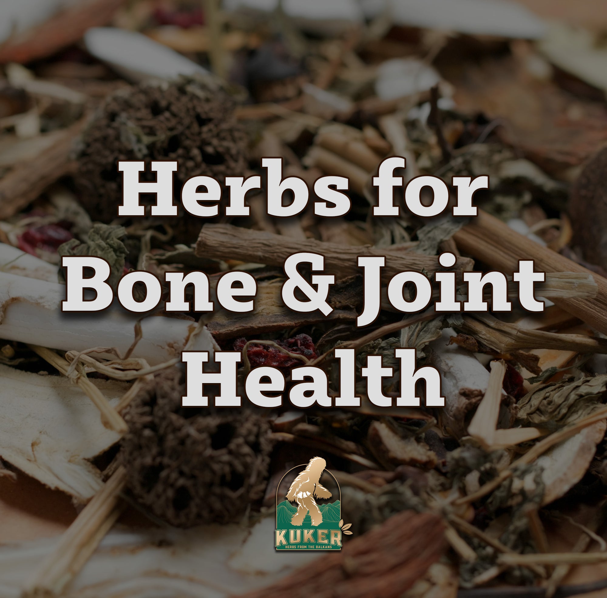 The Most Useful Herbs for Bone & Joint Health