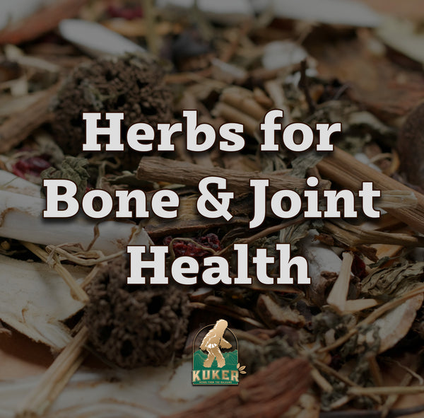 The Most Useful Herbs for Bone & Joint Health - Kuker Shop