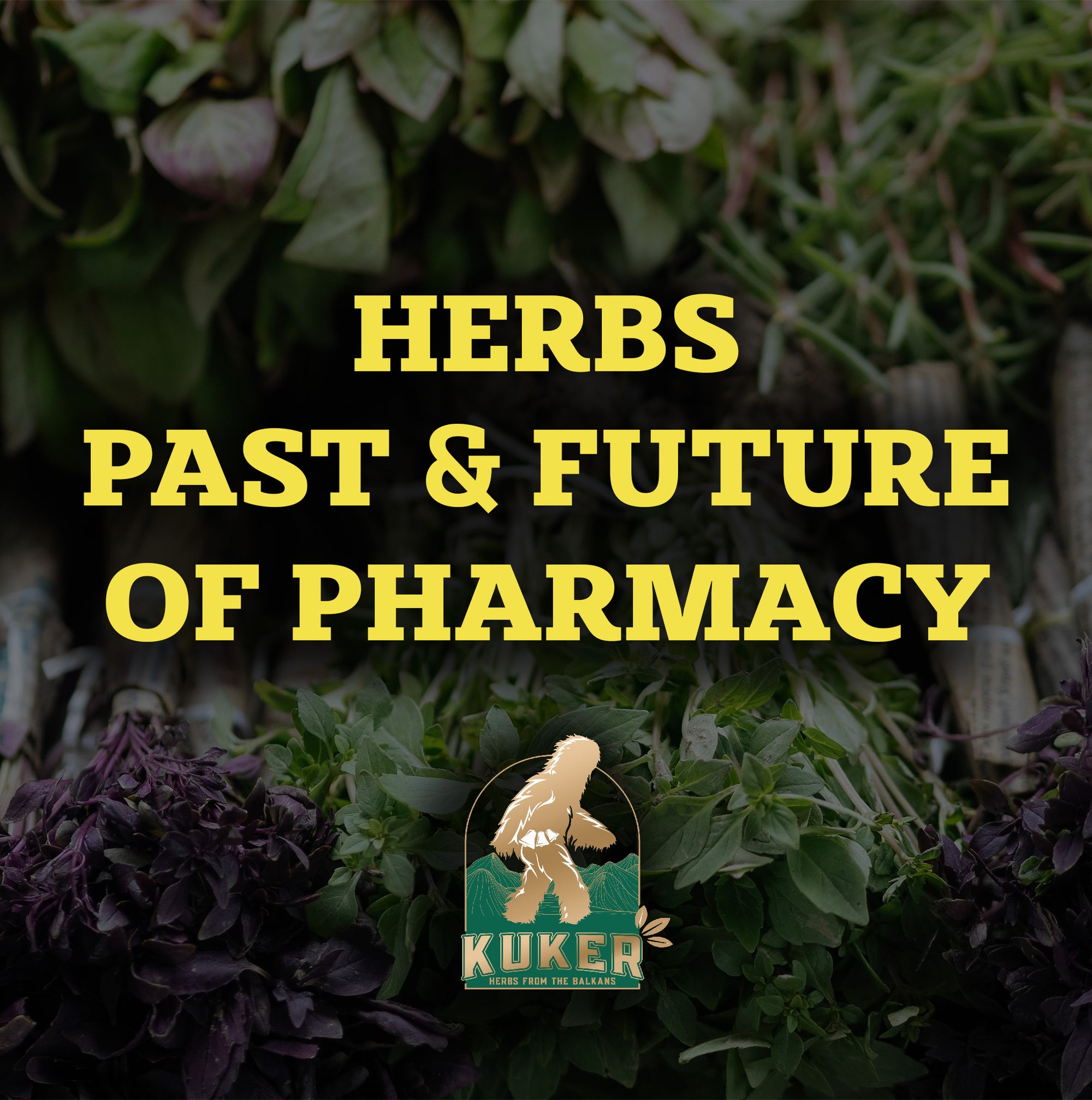 Herbs - The Past and Future of Pharmacy