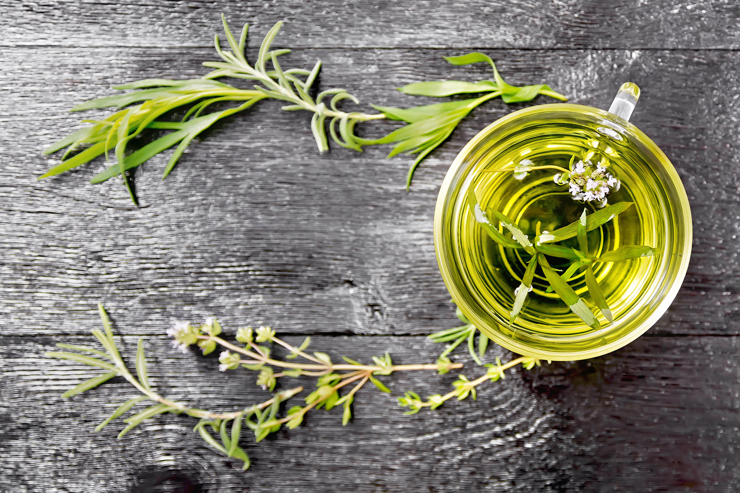 Thyme: Great Things to Know About It