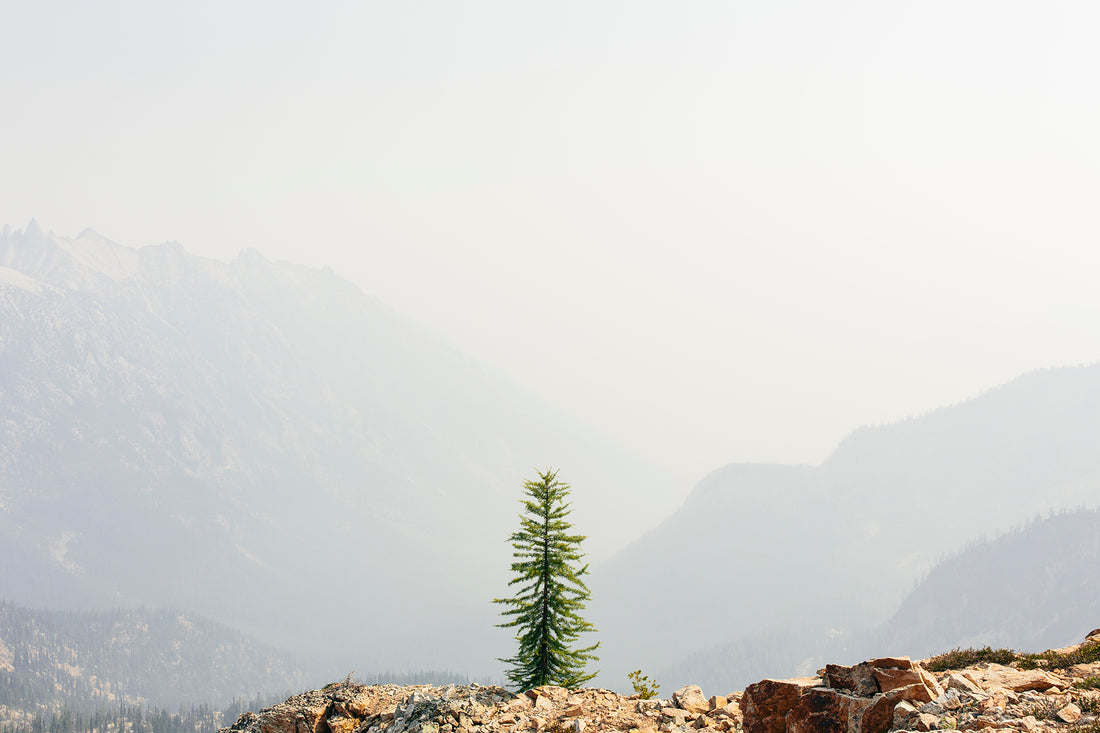 12 Truths We Realise When We Give Something Up - Kuker Shop