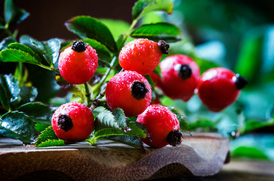 Rose Hip for Root Chakra Balance - Kuker Shop