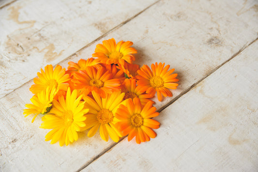 Calendula for Sacral Chakra - Kuker Shop