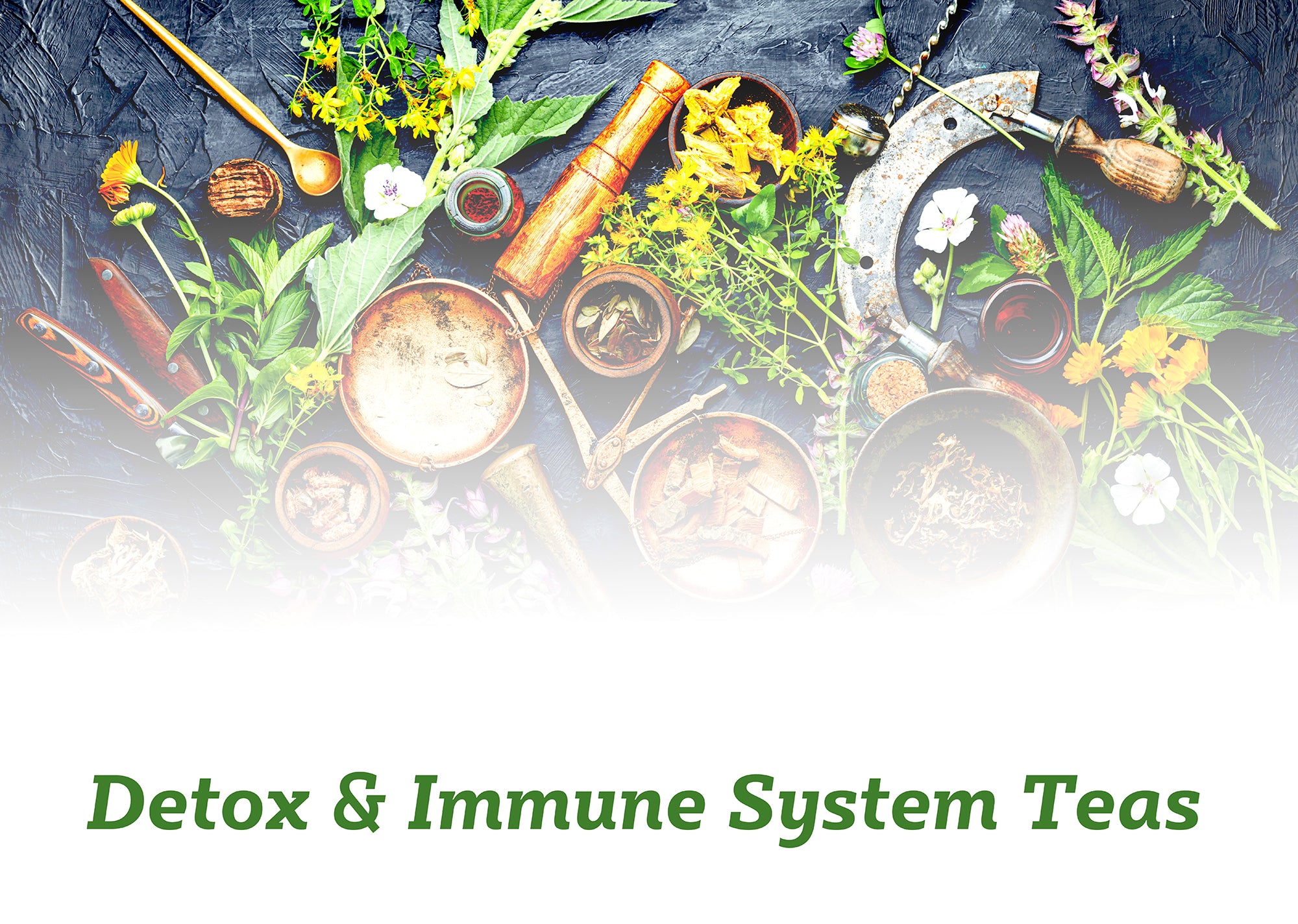 Detox & Immune System Teas