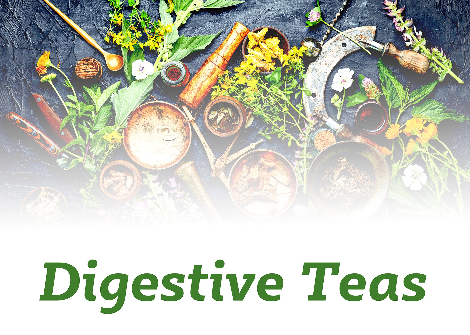 Digestive Health Teas