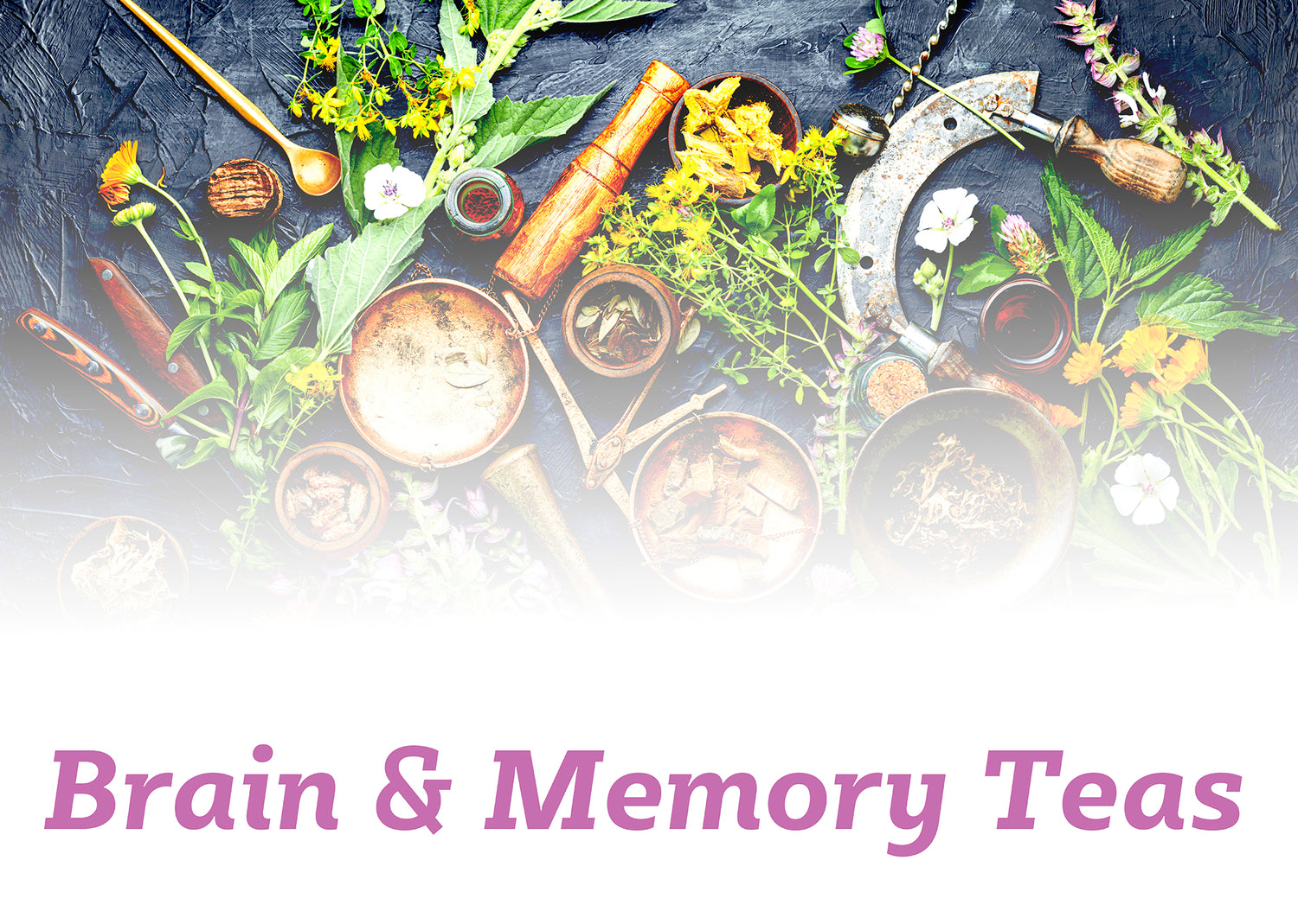 Brain & Memory Teas