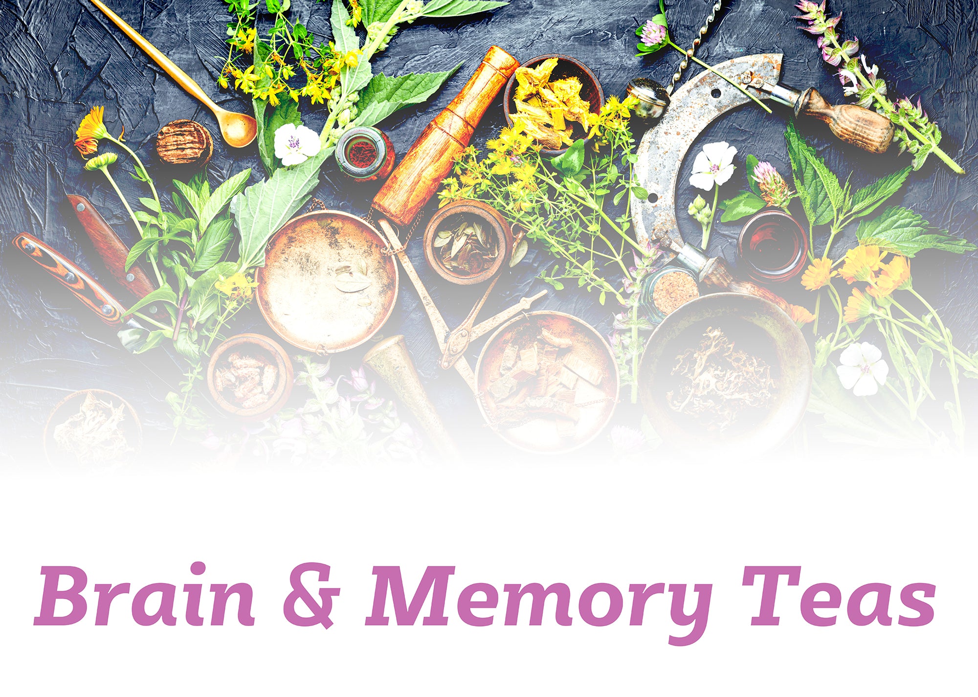 Brain & Memory Teas