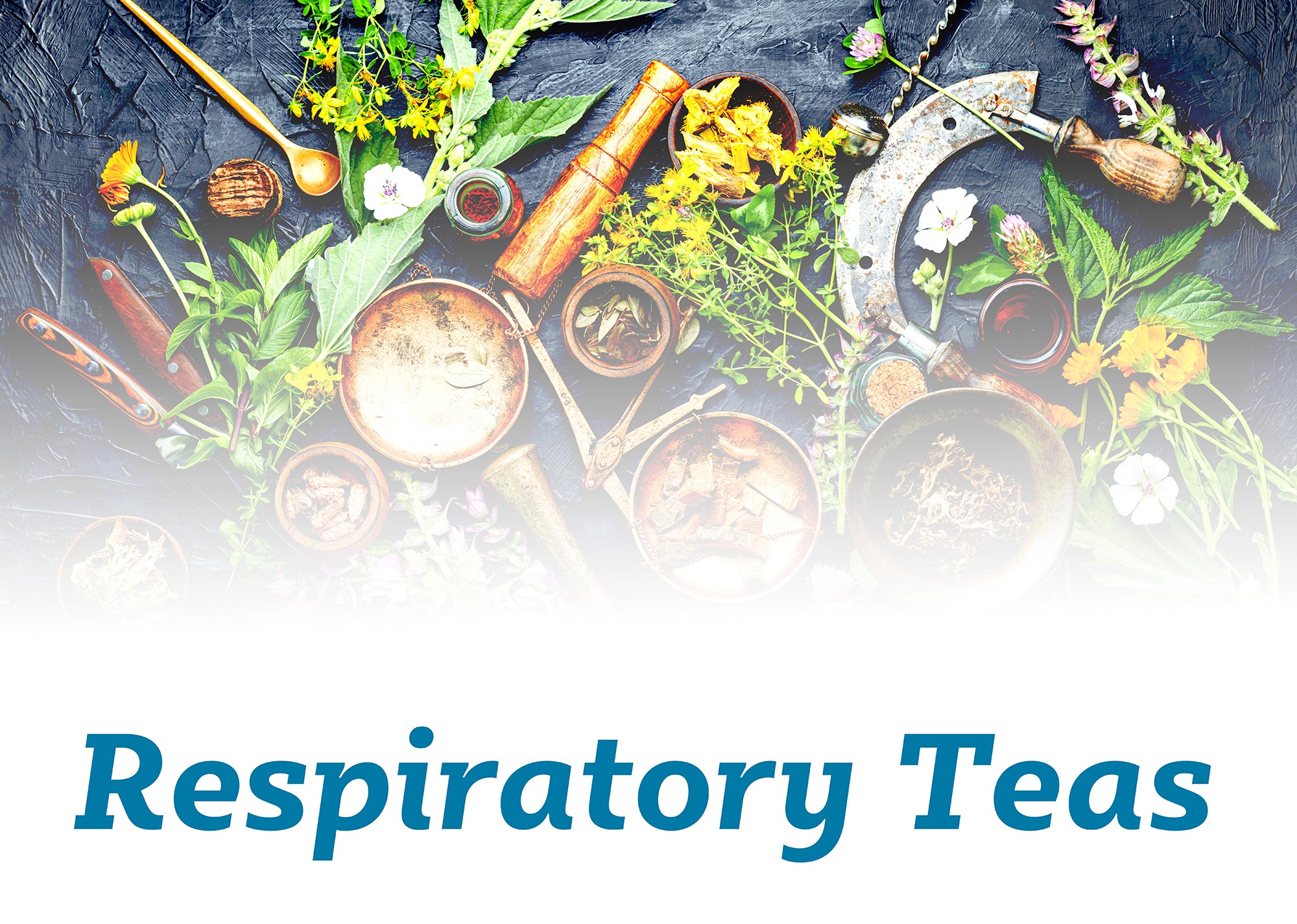 Respiratory Teas