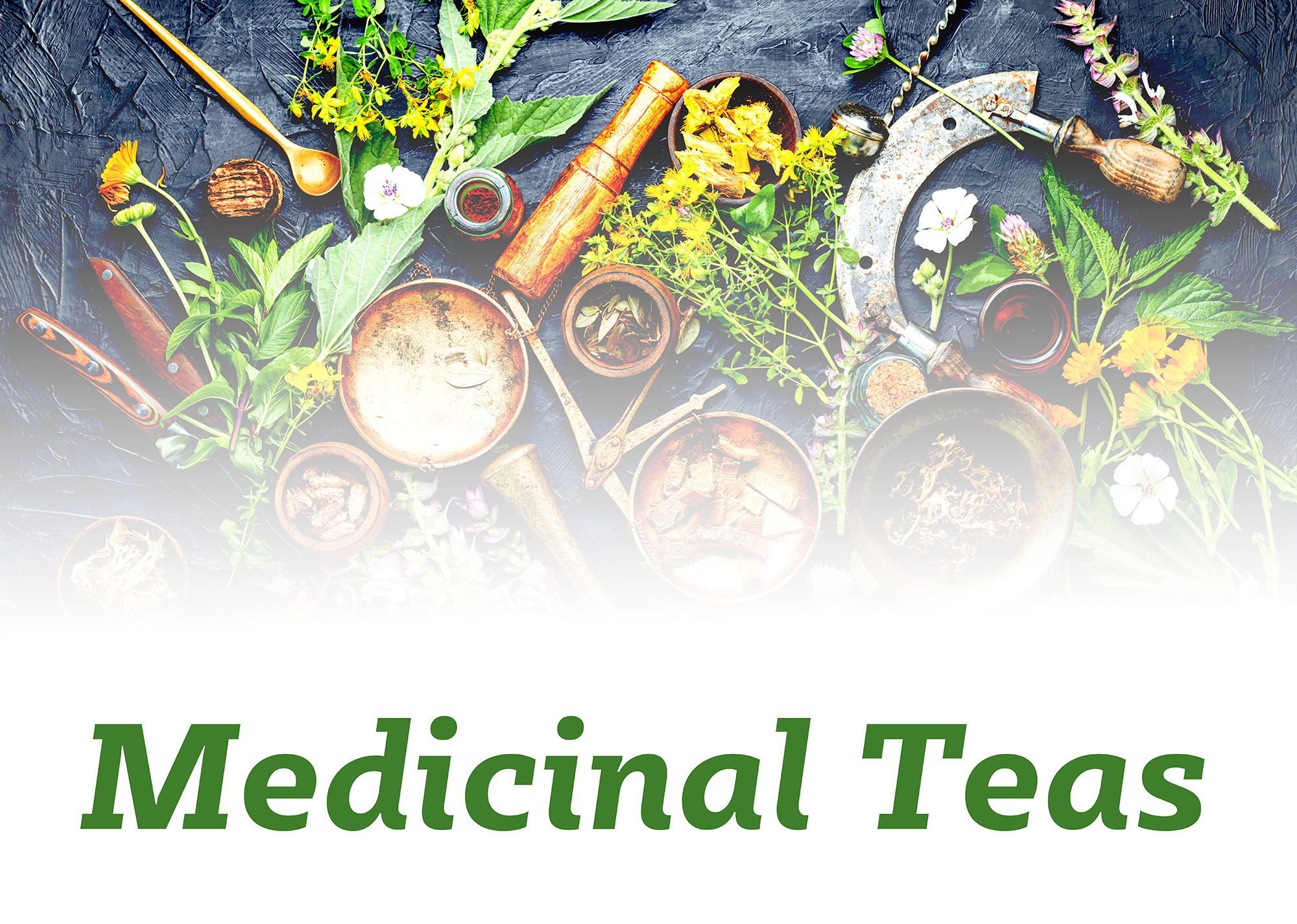 medical herbs