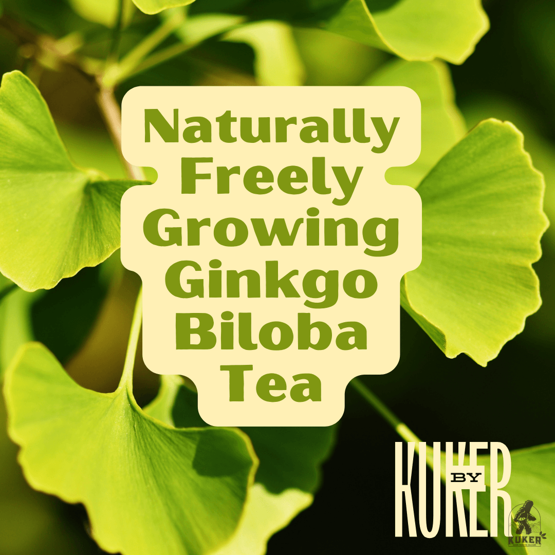 KUKER® Ginkgo Biloba Tea & Peppermint 20 Tea Bags | 30g