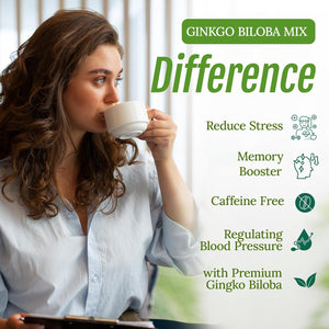 Ginkgo Biloba Mix 30g | Memory & Bloood Circulation Aid Tea 20 Bags