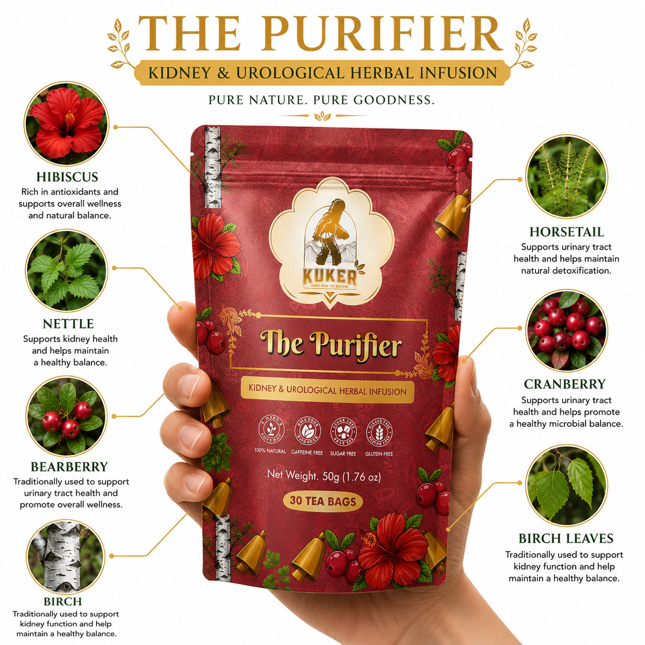 A hand holds a red stand-up pouch of KUKA The Purifier Kidney & Urological Herbal Infusion tea against a white infographic background with callout labels for ingredients including hibiscus, nettle, cranberry, and birch leaves.