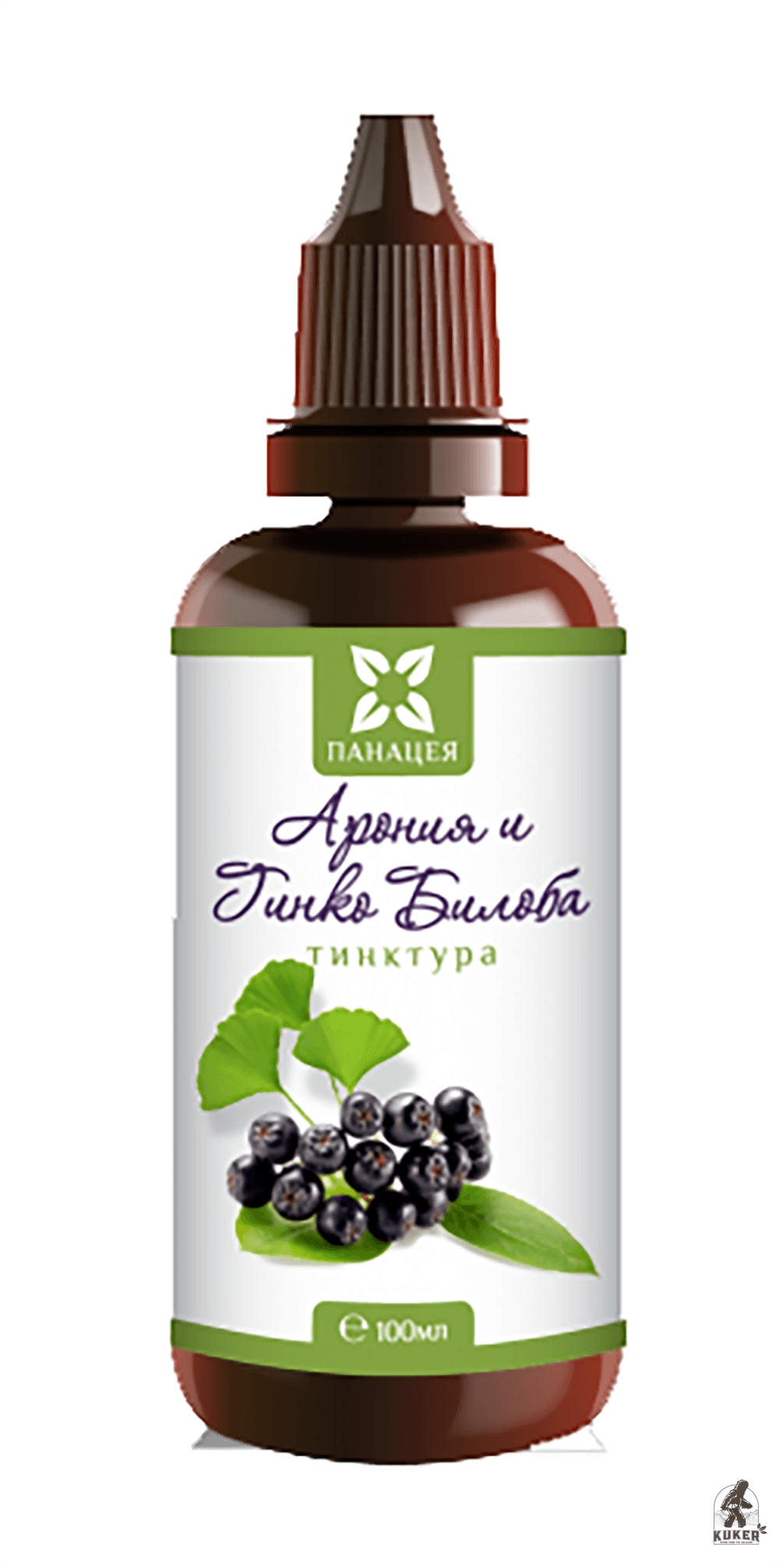 Ginkgo Biloba Aronia Tincture 100ml | Natural Extract